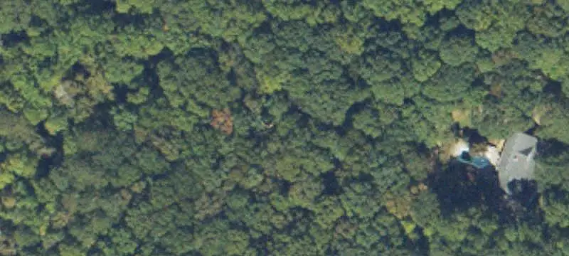 Land/Lot
