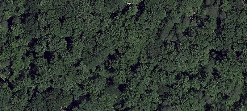 Unimproved Land