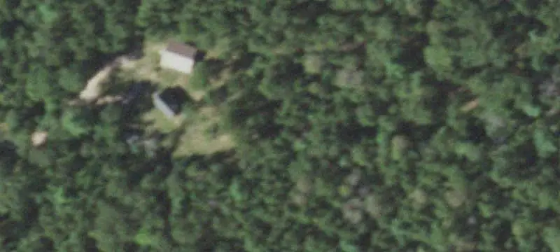 Timbered Hunting Land
