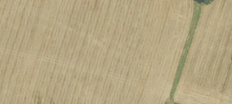 Build-to-Suit Commercial Land