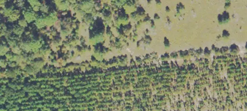 Private Hunting Land With Conservation Easement