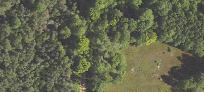 Off-Grid Cabin Hunting Land