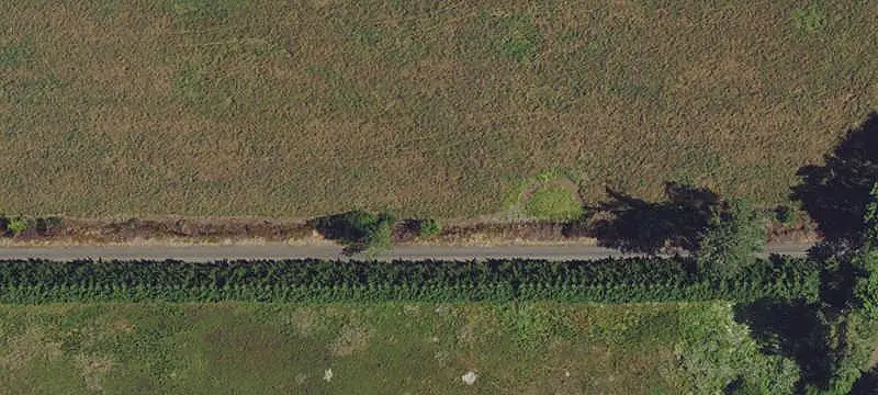 Agricultural Land with Pond