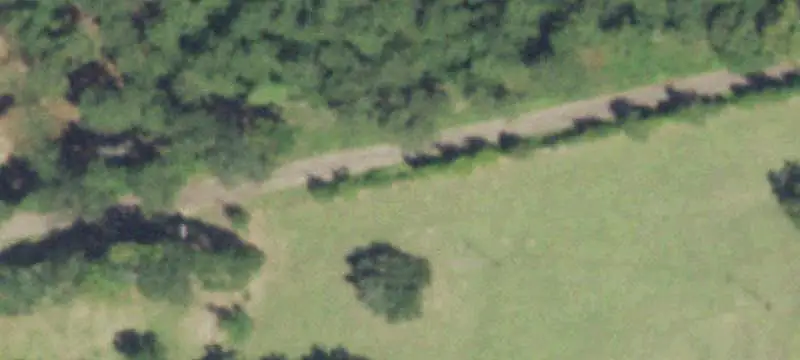 Unrestricted Wooded Acreage