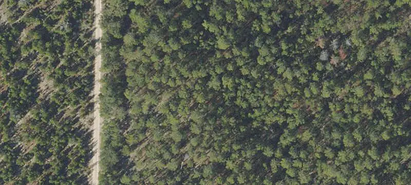 Vacant Land / Lots