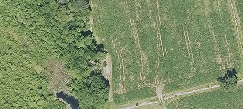 Cleared Farmland with Water Infrastructure