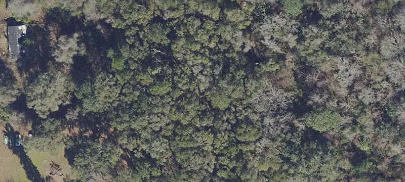 Wooded Land Parcel