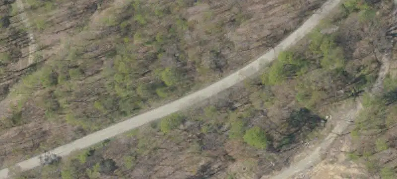 Wooded Hunting Land with Dual Frontage