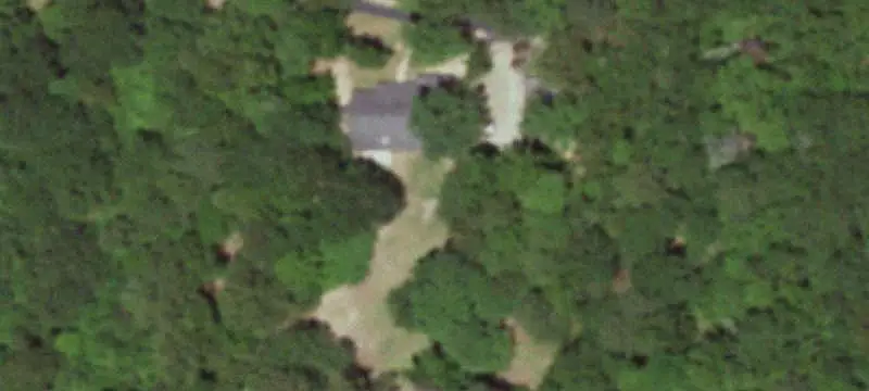 Timbered Hunting Land