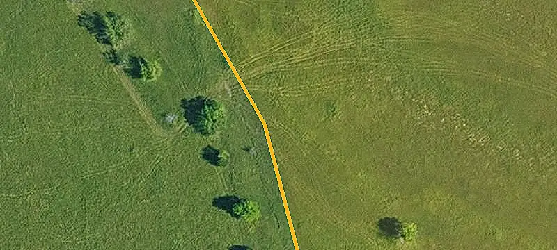 Agricultural Land with Timber