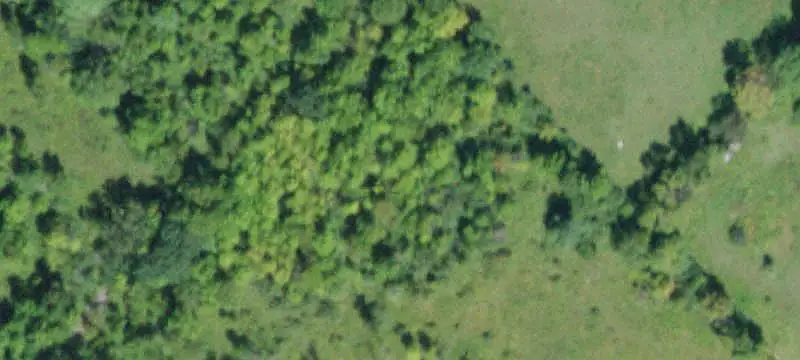 Wooded Recreation Land with Cabin
