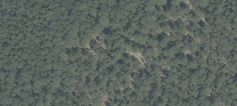 Wooded Agricultural Land