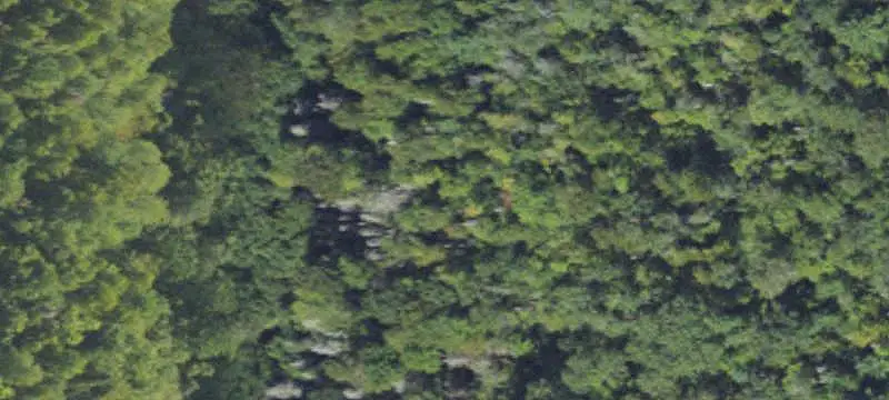 Wooded Recreation Land