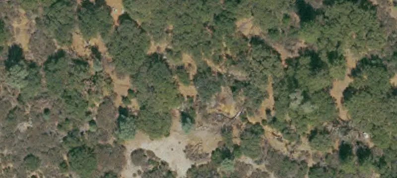 Unimproved Land