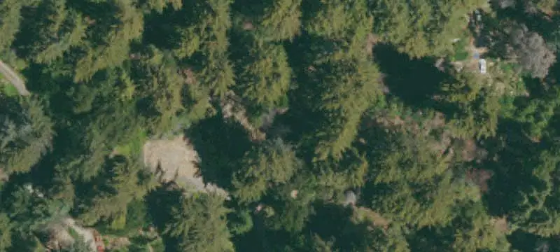 South-Facing Wooded Land