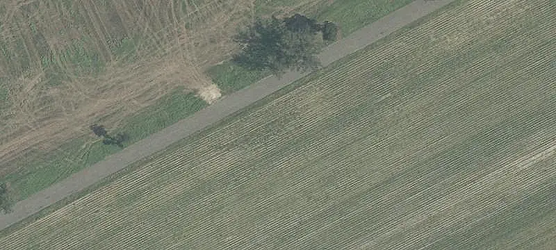 Vineyard With Approved Facility Plans