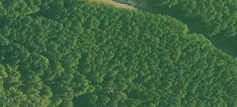 Vacant Land