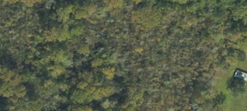 Creekfront Waterfront Land