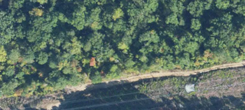 Vacant Land