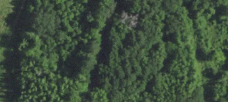 Wooded Commercial Land