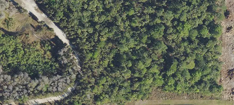 Land/Lot