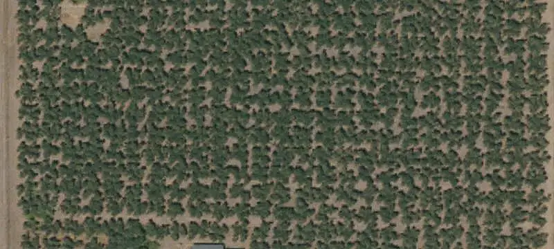 Ranch with Irrigated Fields