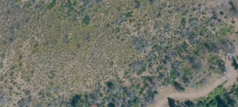 Land Near Town and Lake