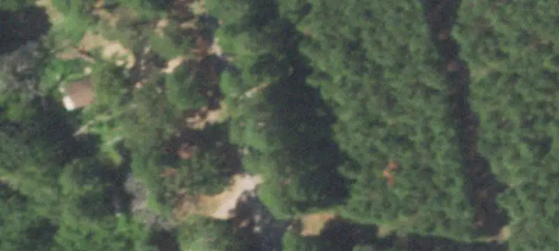 Wooded Agricultural Land
