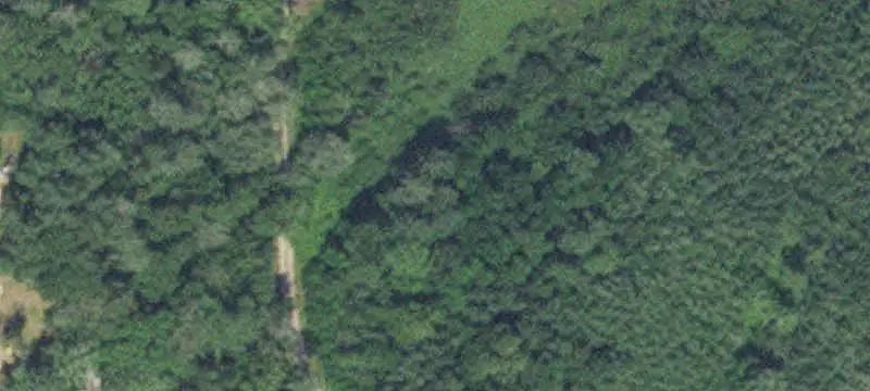 Wooded Recreation Land with Bunkhouse