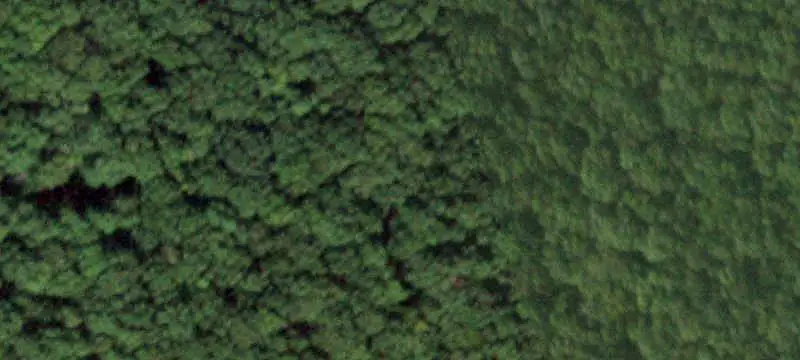 Unimproved Land