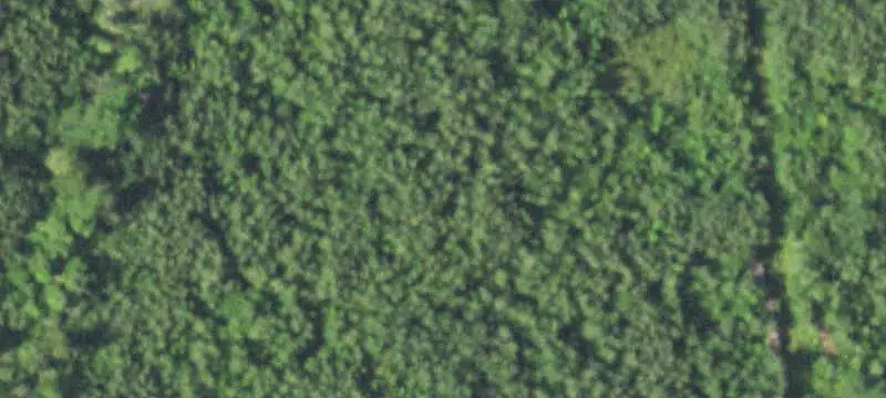 Wooded Waterfront Land