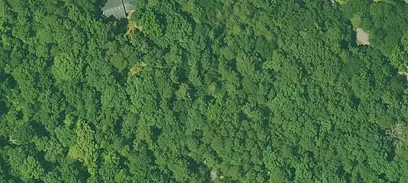 Riverfront Wooded Land