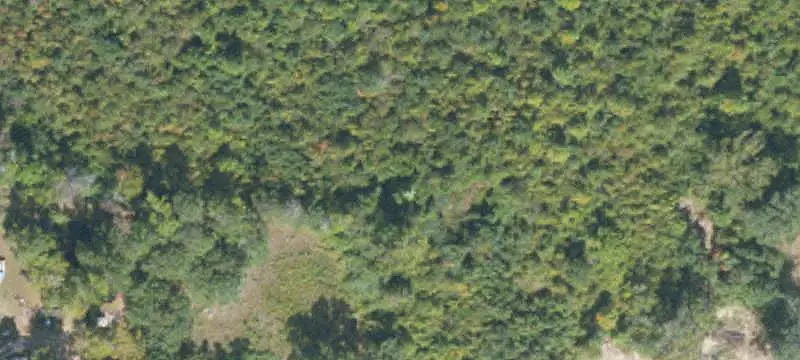 Recreational Timberland Tract