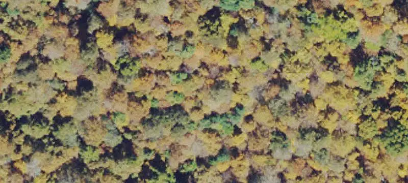 Vacant Land / Lots