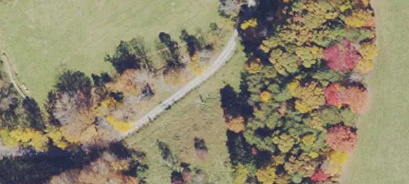 Wooded Hunting Land With Outbuildings
