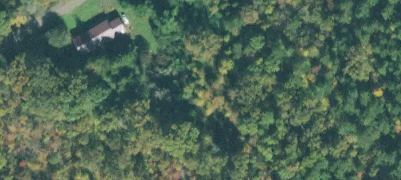 Woodland Hunting Property