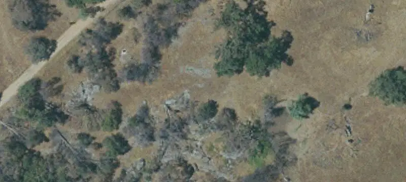 Established Vineyard with Irrigation