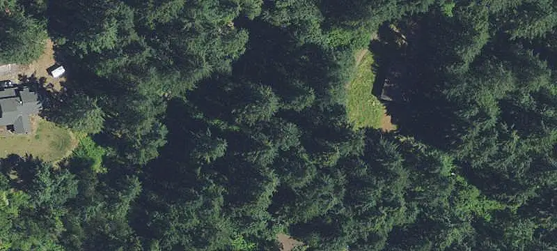 EFU Agricultural Land with Tree Grove