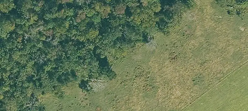 Agricultural Land with Well