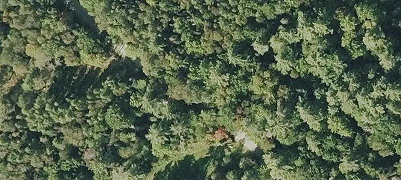 Vacant Land / Lots