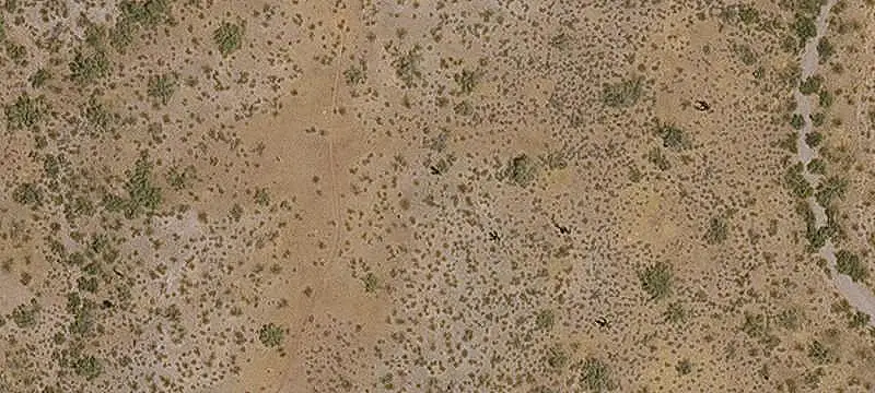 Lots/Land