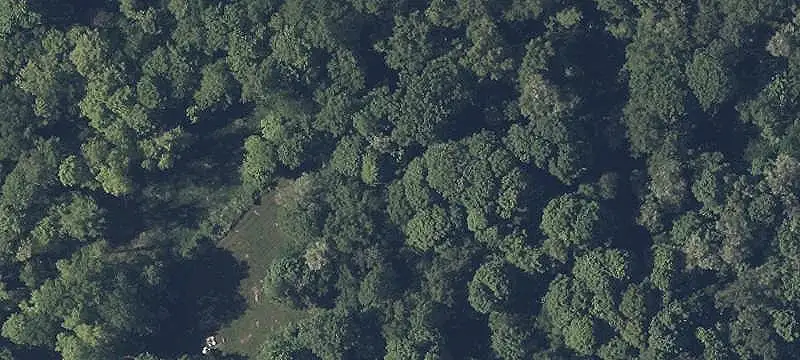 Vacant Land / Lots