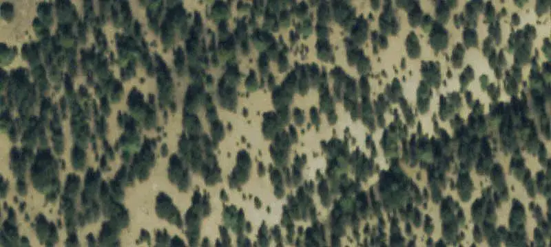 Mountain Ranch with Workshop