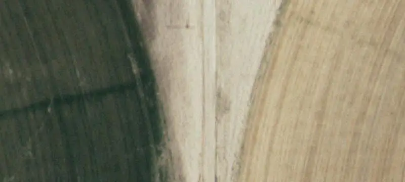Large-Scale Farm with Grain Storage