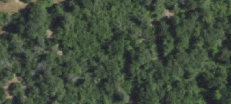 Texas Ranch With Seasonal Creek