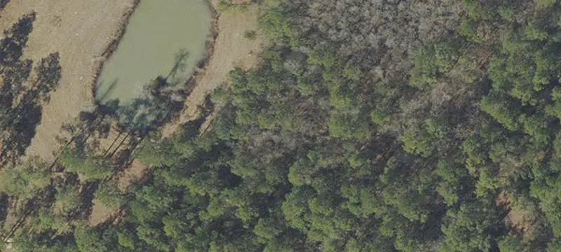 Land/Lot