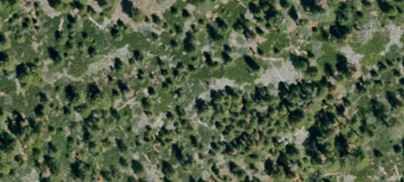 Land/Lot