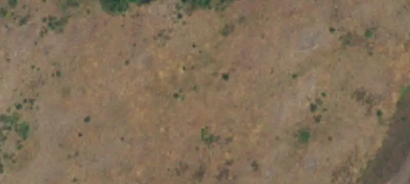 Agricultural Land with Pasture