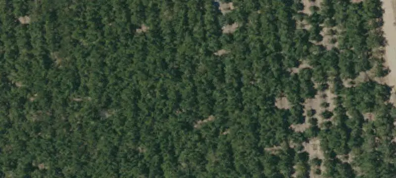 Open Grazing Farmland
