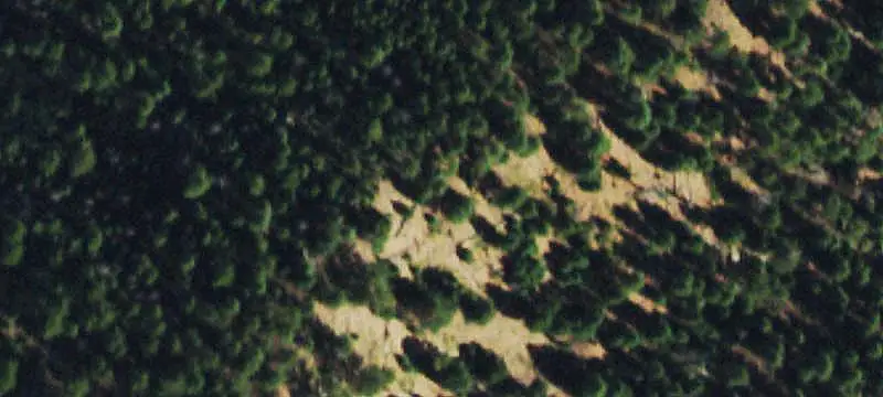 Land or Vacant Lot